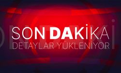 Diyarbakır'ın Çınar ilçesinde çıkan yangın kontrol altına alındı